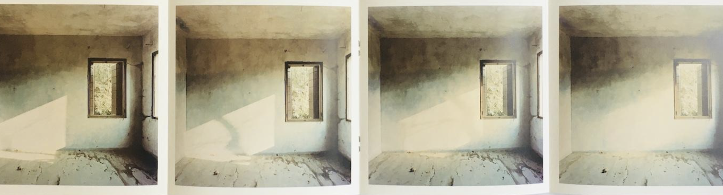 Guido Guidi — Preganziol, 1983